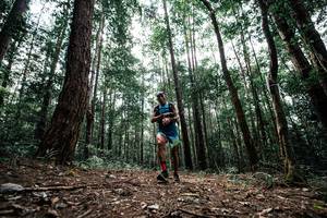 BIB: 
                            <button type="button" onclick="openModal(25261193)" class="btn btn-primary btn-sm float-right btn-popup" data-toggle="modal" data-target=".modal-high-quality">
                        <i class="fas fa-shopping-cart"></i> Add to Cart
                    </button>
                                            <button type="button" onclick="isThisMe(25261193, true)" class="btn btn-success btn-sm float-right btn-popup btn-isme hidden" data-toggle="tooltip" data-placement="bottom" title="นี่คือรูปของคุณใช่ไหม คลิกที่นี่เพื่อเอาเข้าอัลบั้ม">
                        <i class="fas fa-plus"></i> Add to album
                    </button>
                    <button type="button" onclick="isThisMe(25261193, false)" class="btn btn-warning btn-sm float-right btn-popup btn-isnotme hidden">
                        <i class="fas fa-ban"></i> Remove from album
                    </button>